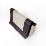 Celine Frame Shoulder Bag in Bi-Color Calfskin